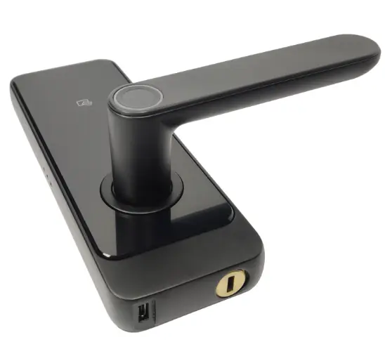 LS-C89