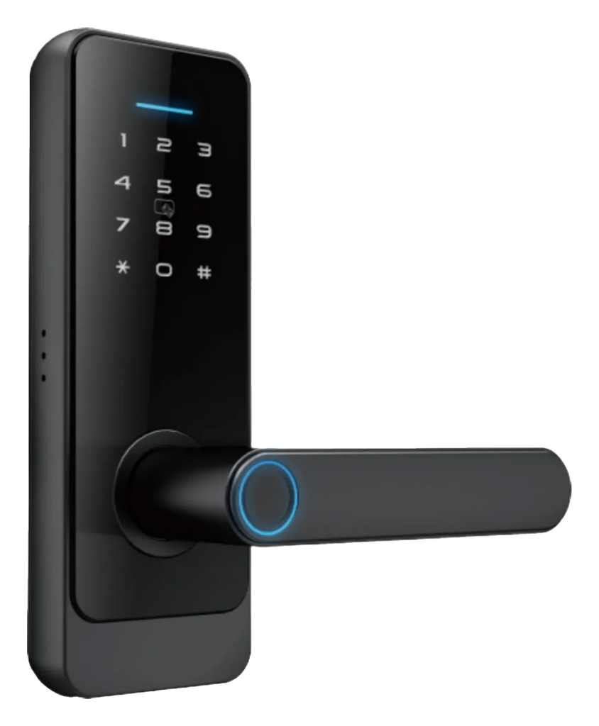 Cerradura inteligente LS-C89 (TTlock--Bluetooth, TTlock-Bluetooth)